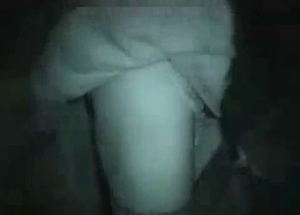The nighttime stallion anal bestiality session